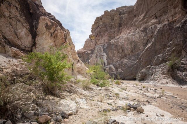 Ladder Canyon-20