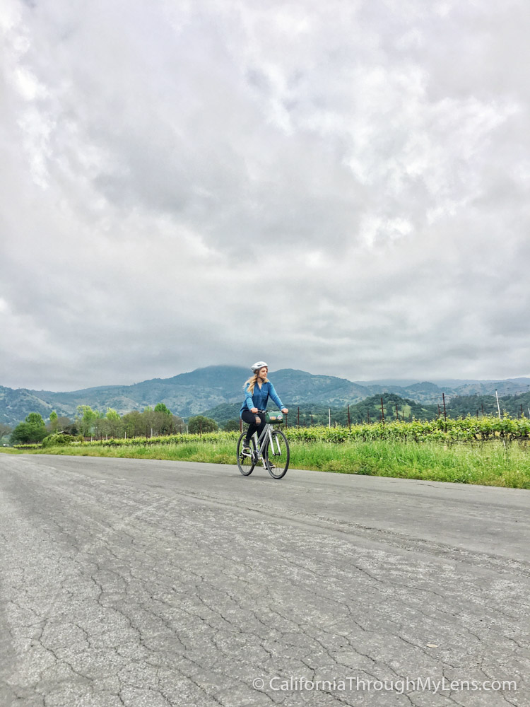 Biking to Wineries in Yountville with Napa Valley Bike Tours