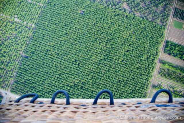 Napa Valley Balloon Rides-12