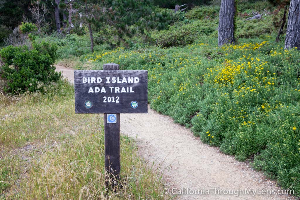 Bird Rock Trail in Point Lobos State Natural Reserve California