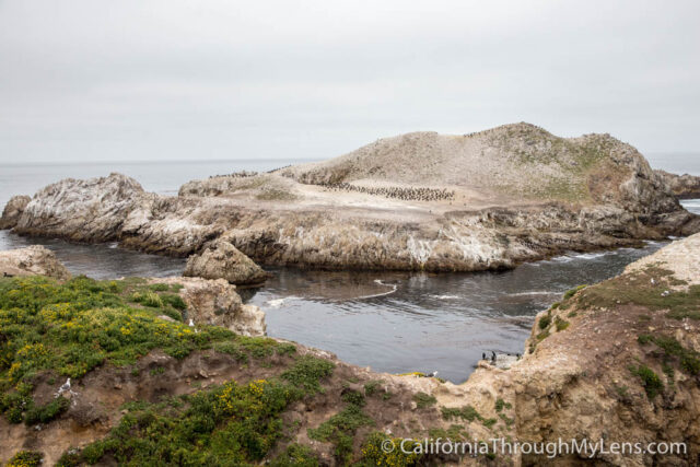 Bird Rock Trail in Point Lobos State Natural Reserve California