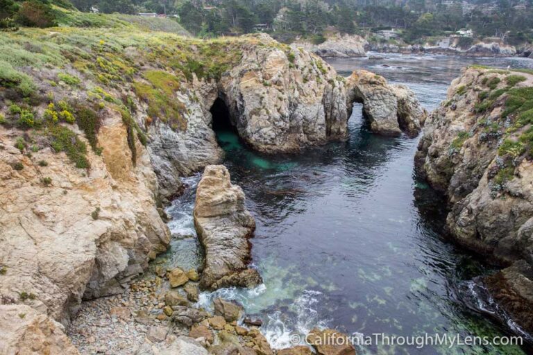 Bird Rock Trail in Point Lobos State Natural Reserve