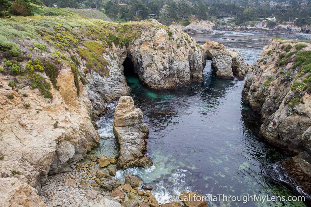 Bird Rock Trail in Point Lobos State Natural Reserve California