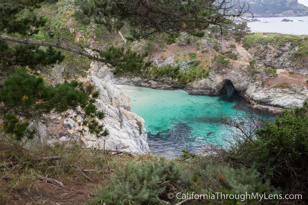 Bird Rock Trail in Point Lobos State Natural Reserve California