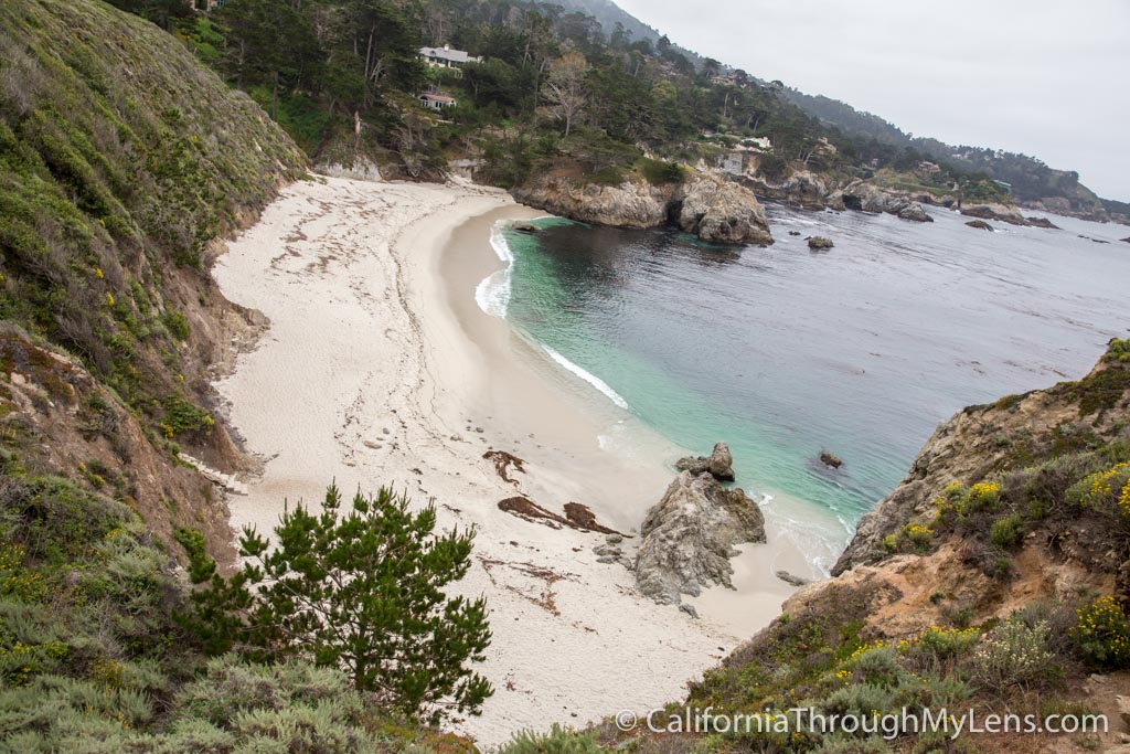 Bird Rock Trail in Point Lobos State Natural Reserve California