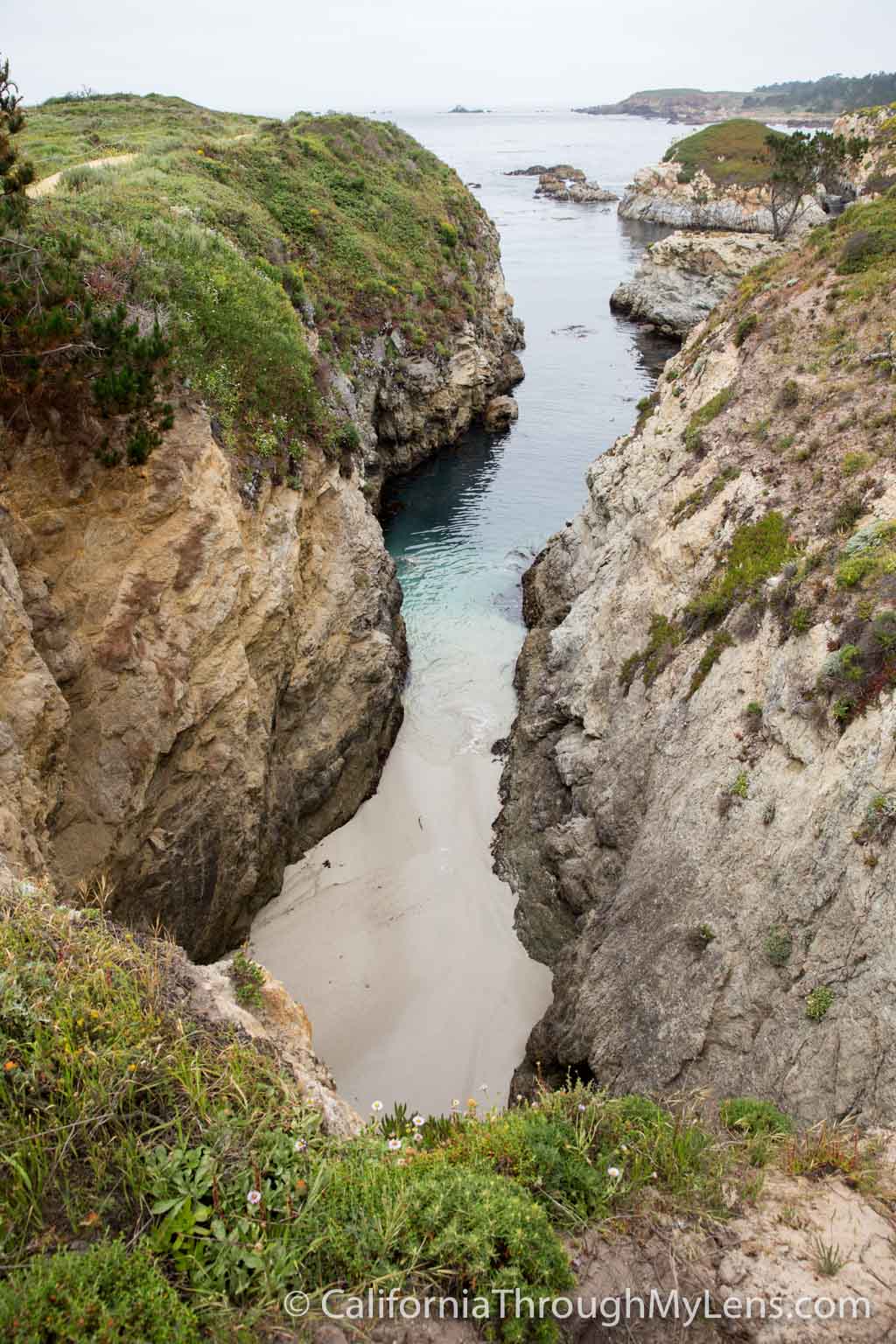 Bird Rock Trail in Point Lobos State Natural Reserve California
