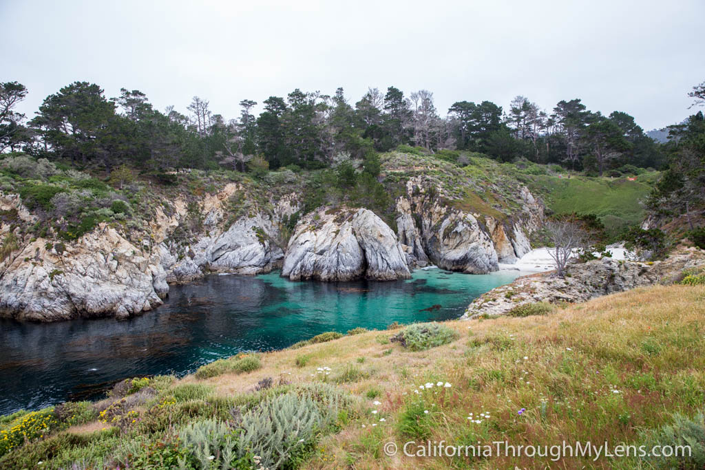 Bird Rock Trail in Point Lobos State Natural Reserve California