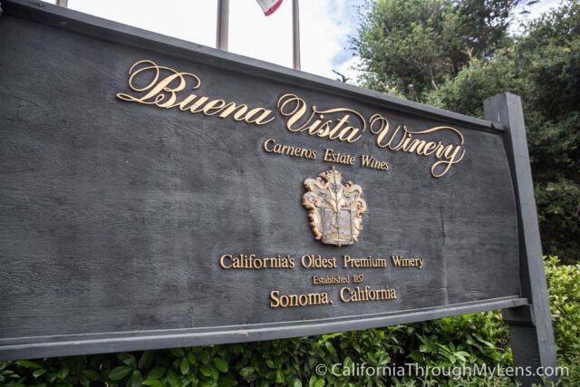 Buena Vista Winery-1