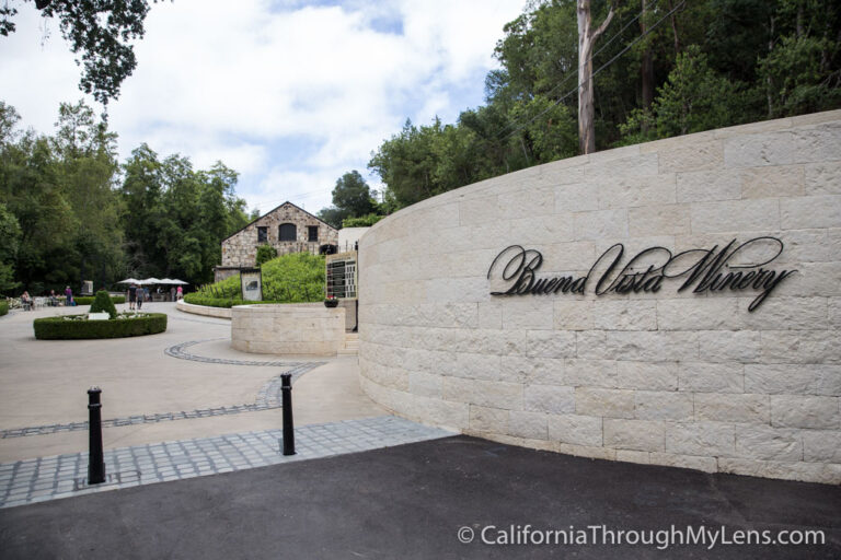 Buena Vista Winery California S Oldest Winery California Through My Lens   Buena Vista Winery 5 768x512 