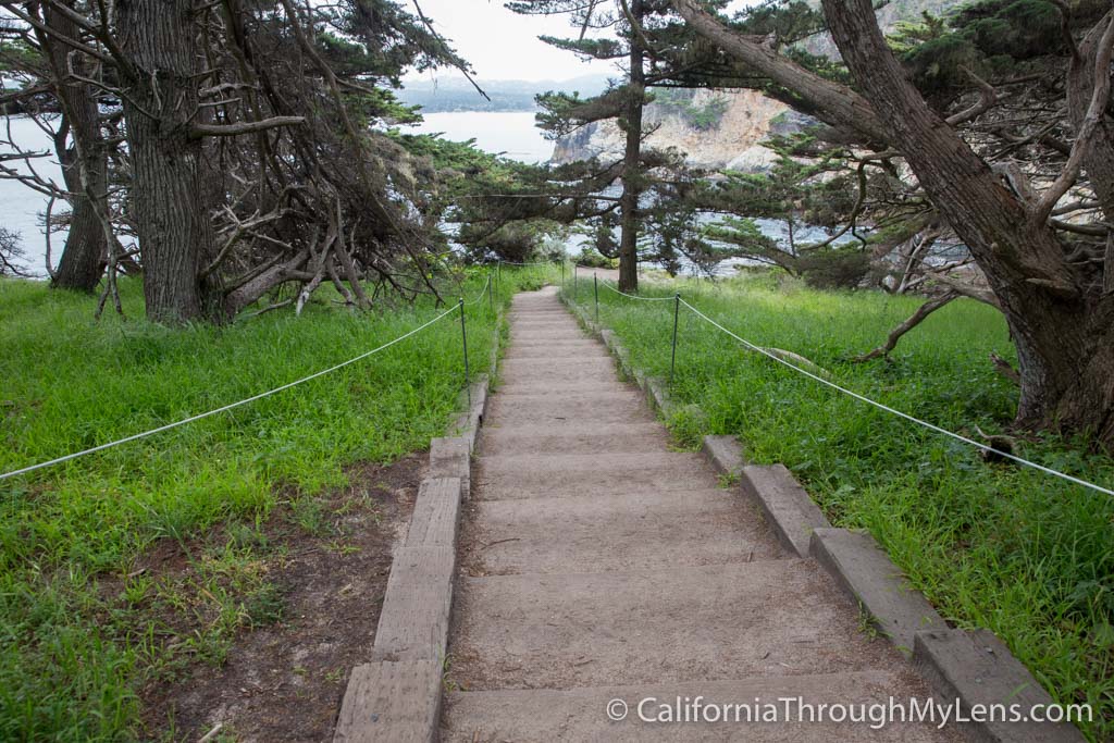 Cypress Grove Trail & Allen Memorial Grove in Point Lobos California