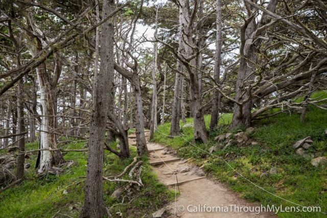 Cypress Grove Trail-6