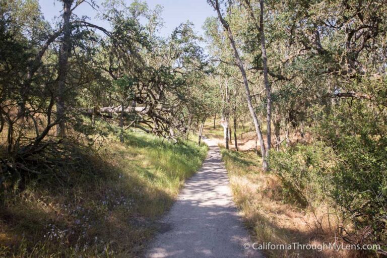 Jim Green Hiking Trail in Atascadero - California Through My Lens