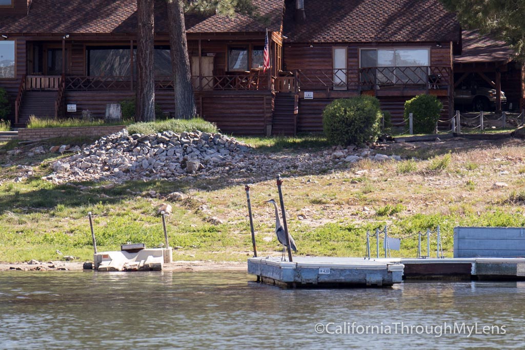 Boat Tour of Big Bear Lake with Captain John's Fawn Harbor Marina