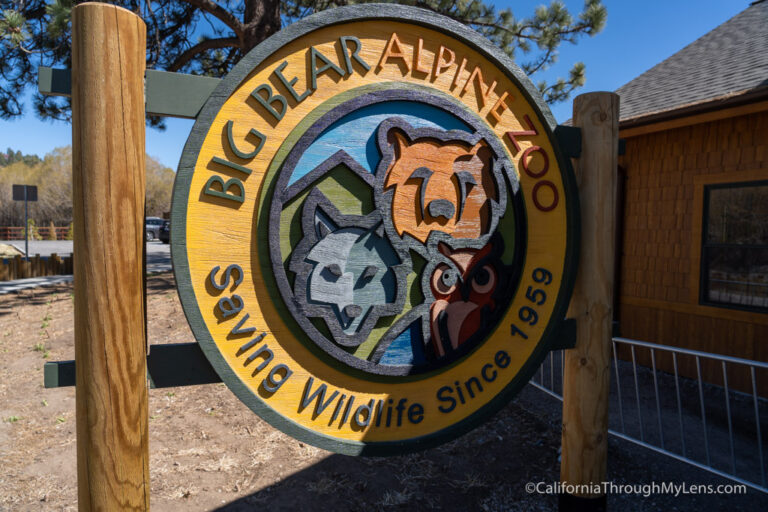 Big Bear Alpine Zoo An Animal Rehibilitation Center in Moonridge