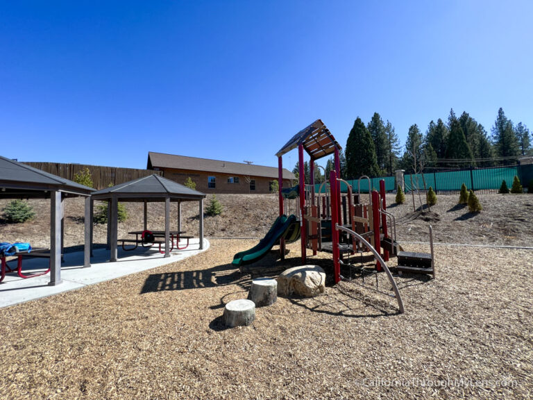 Big Bear Alpine Zoo An Animal Rehibilitation Center in Moonridge