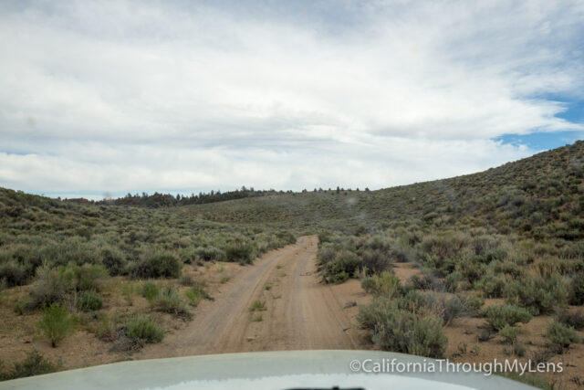 crowley lake columns-1