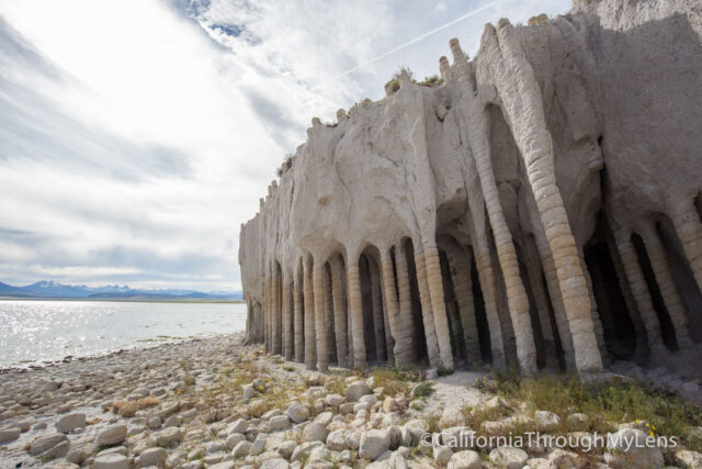 crowley lake columns-12