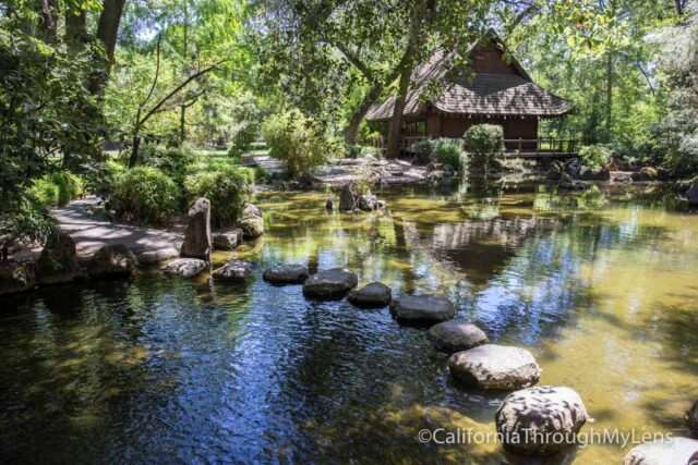 japanese garden-1