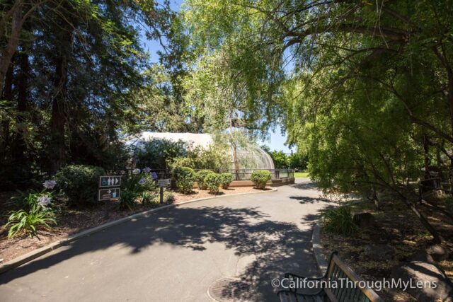 Visiting the Micke Grove Zoo in Lodi - California Through My Lens