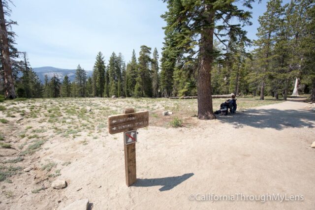 sentinel dome-1