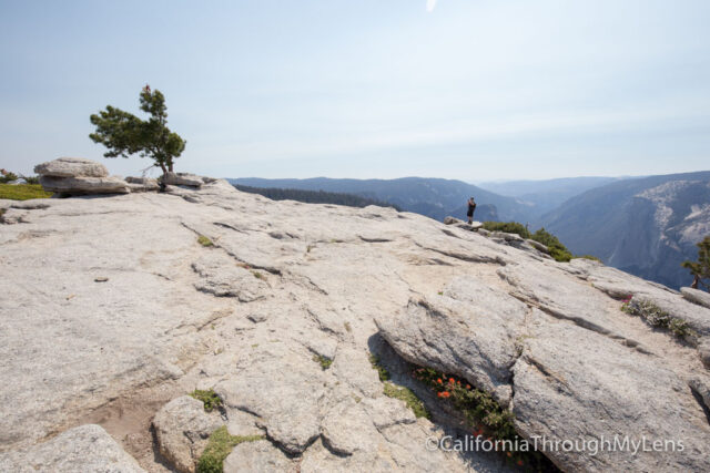 sentinel dome-13