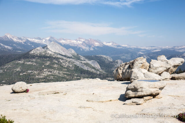 sentinel dome-16