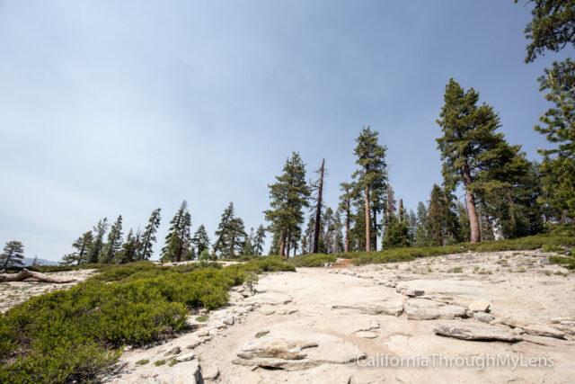 sentinel dome-3