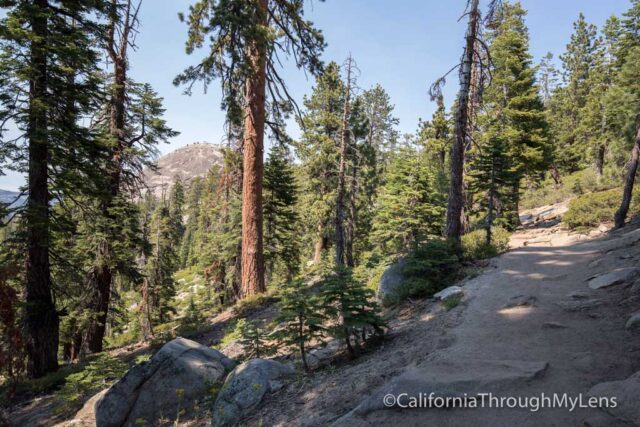 sentinel dome-4