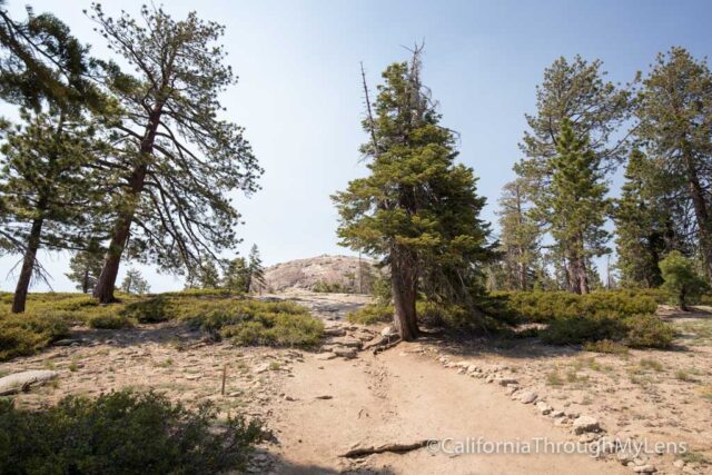 sentinel dome-6