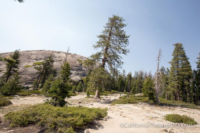 sentinel dome-7