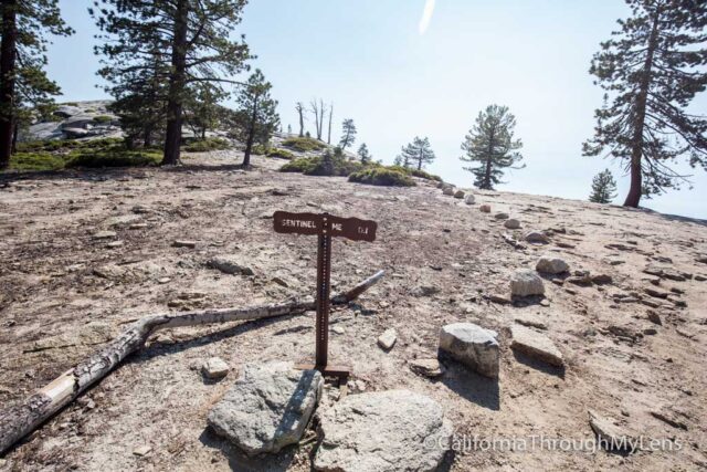 sentinel dome-9