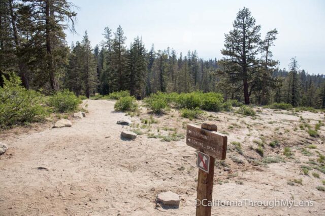 taft point-1