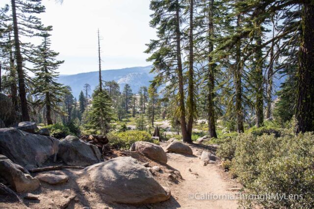 taft point-10