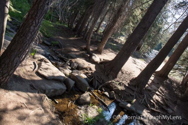 taft point-3