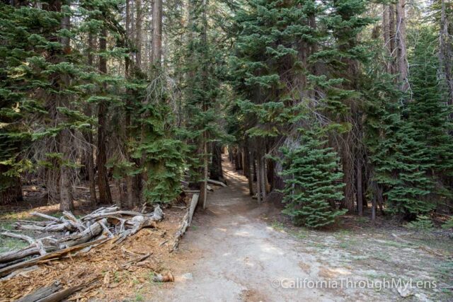 taft point-4