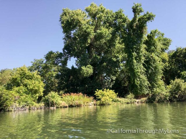 kayaking lodi-1