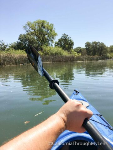 kayaking lodi-2