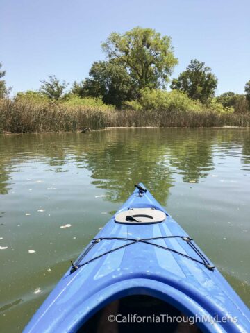 kayaking lodi-3