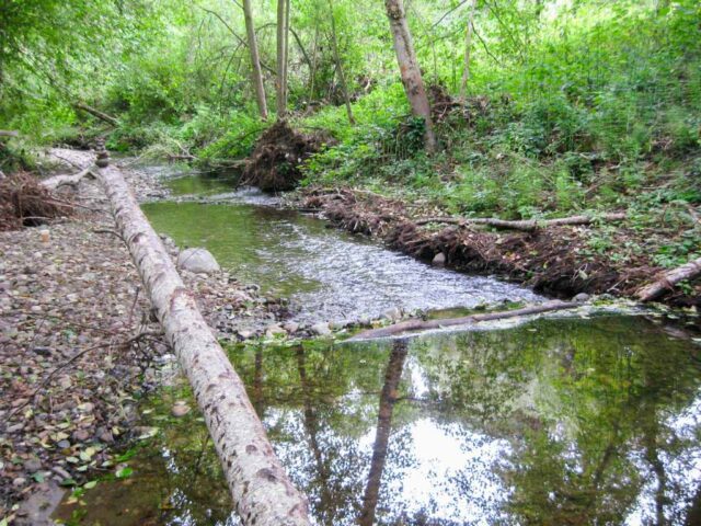 SC Nisene Marks State Park