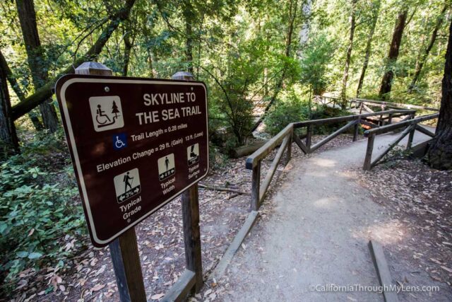 big basin waterfall loop-1