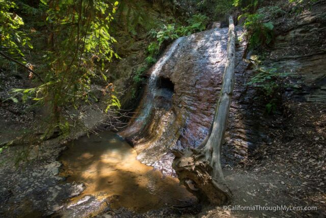 big basin waterfall loop-18