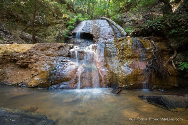 big basin waterfall loop-20