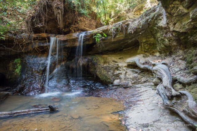 big basin waterfall loop-23