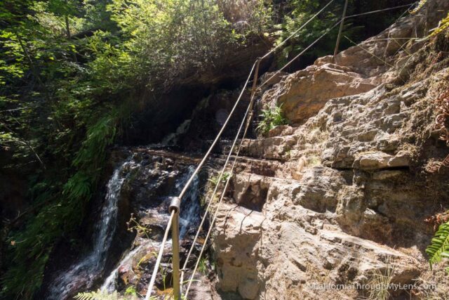 big basin waterfall loop-24