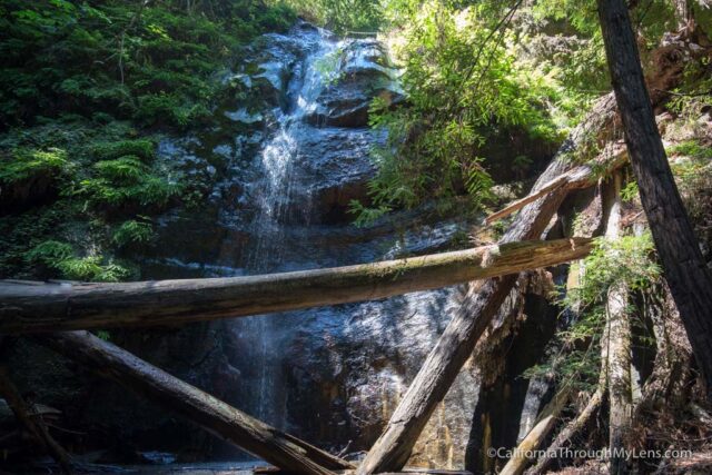 big basin waterfall loop-25