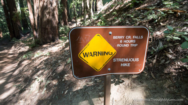 big basin waterfall loop-6