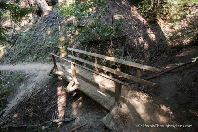 big basin waterfall loop-8