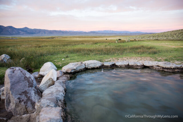 bishop hot springs-5