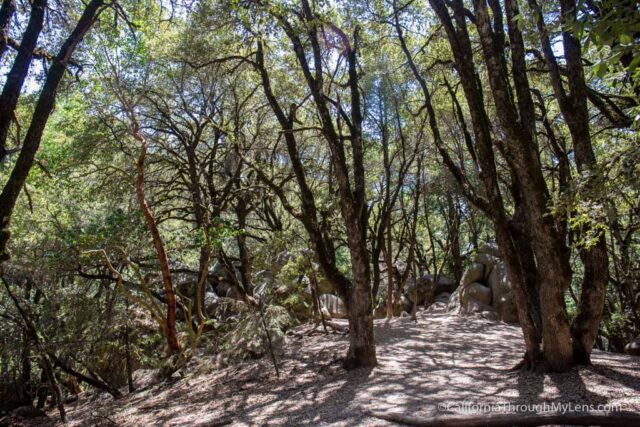 castle rock state park-4