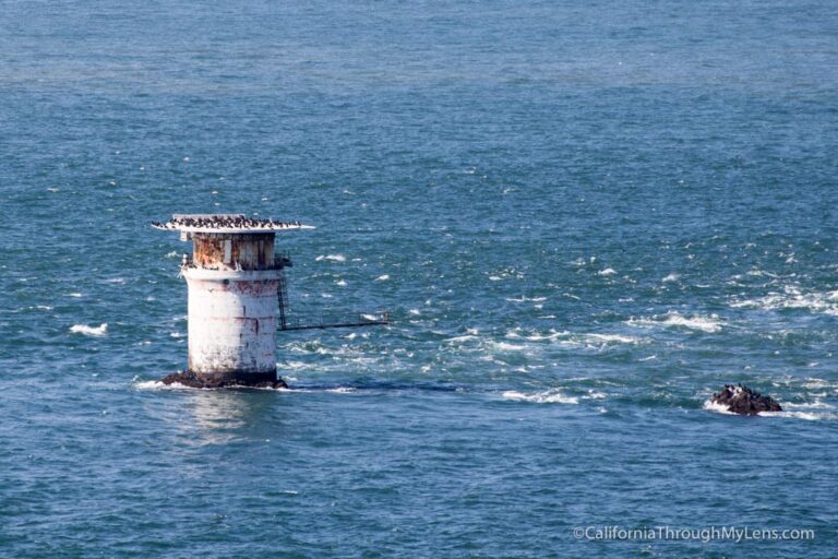 Lands End Trail: One of the Best Hikes in San Francisco - California ...